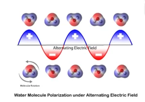 Molecule Polarization Model